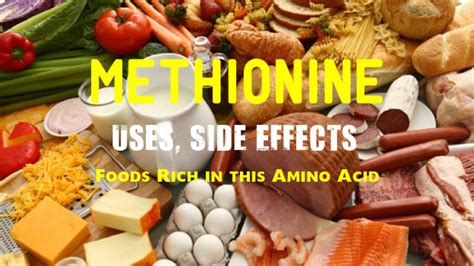 Methionine Uses Side Effects Foods Rich In This Amino