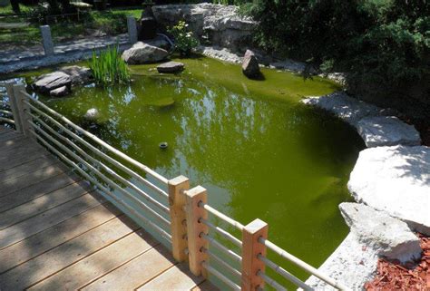 kindersicherer teich wassergarten