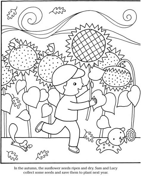 dover publications flower drawing garden coloring pages