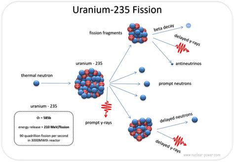 uranium  fission equation energy nuclear powercom