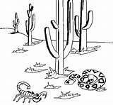 Desierto Deserto Ecosistema Desiertos Ecosistemas Imagen Relaciones Alimentarias Acolore Dibuixos Imagui Dibuix sketch template