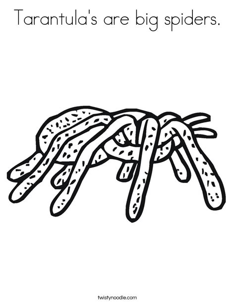 tarantulas  big spiders coloring page twisty noodle