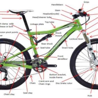 descriptors  mountain bicycle parts   scientific diagram