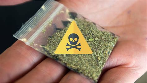 synthetic cannabinoids   dangers fast buds