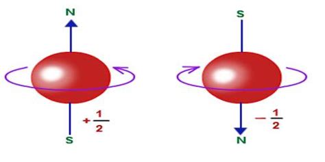 electron spin qs study