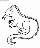 Iguana Iguanas sketch template