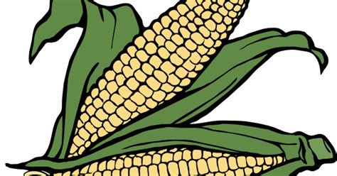 Cornhub Cartoon Corn