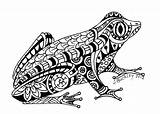 Amphibien Frosch Malvorlagen Mandalas Tiere sketch template