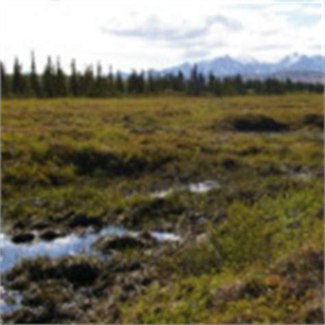 arctic lowlands canada regions