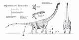 Argentinosaurus Dinosaur Dinosaurs Accurate Humans sketch template