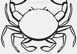 Crab Coloring Horseshoe Pages Graphic Getdrawings Getcolorings sketch template