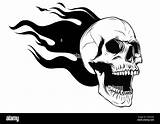 Skull Flames Totenkopf Flammen Alamy Skeleton sketch template