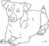 Russell Terrier Russel Rat Terriers Puppy sketch template