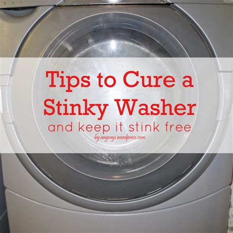 tips  cure  stinky washer angela