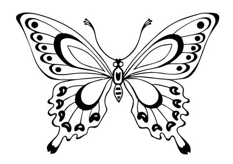 rossiyskiy servis onlayn dnevnikov butterfly coloring page coloring