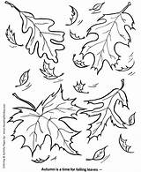 Fall Coloring Pages Kids Season Leaves Seasons Honkingdonkey Sheets Activity Printable sketch template