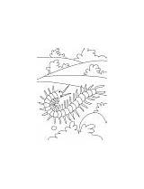 Coloring Centipede Pages Crawling Field Round sketch template