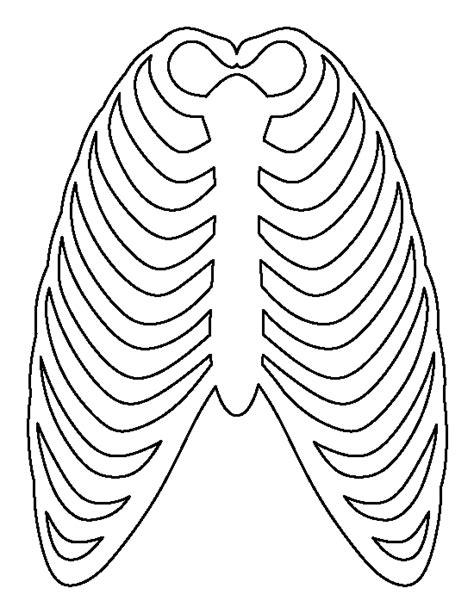printable ribcage template