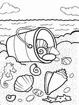 Shell Shellfish sketch template