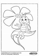 Pages Coloring Beetle Kidloland Worksheets Kids Printable sketch template
