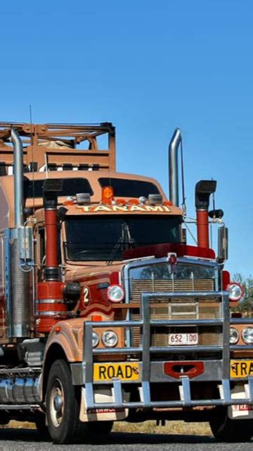 kenworth  cattle truck australia truck transport trucks