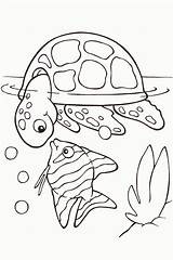 Turtle Benewideas sketch template