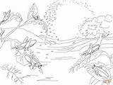 Coloring Plague Pages Locusts Printable Drawing Dot sketch template