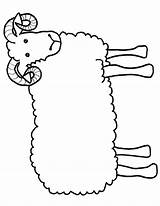 Sheep Ram Template Clipart Printable Craft Coloring Kids Drawing Outline Lamb Templates Crafts Drawings Children Clip Cliparts Pages Animal Goat sketch template