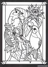 Coloring Glass Pages Stained Coloring4free Birds Related Posts sketch template