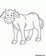 Coloring Cow Pages Printable Baby Animal Farm Kids Animals Clipart Shapes Colouring Cartoon Cows Simple Face Popular Freekidscoloringpage Sheets Coloringhome sketch template