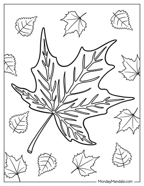 fall leaves coloring pages   printables