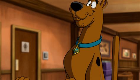 Scooby Doo With Images Scooby Doo Scooby Animated