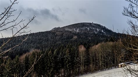 blick zum hochwald zittauer gebirge lueckendorfoybin foto bild landschaft berge zittau