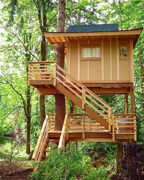 ideas  amazing tiny treehouse kids architecture modern luxury treehouse interior