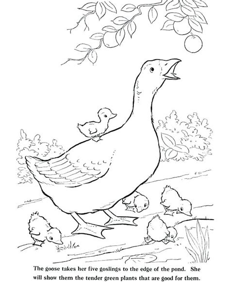 realistic farm coloring pages gif  coloring page