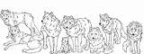 Wolf Pack Coloring Pages Anime Hunting Family Printable Kids Template Deviantart Popular Cute sketch template
