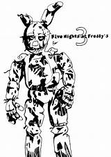 Springtrap Foxy Nights Freddys Sketchite Squared Getcolorings Tigress Páginas Tat sketch template