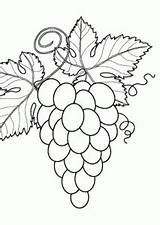 Grapes Malvorlage sketch template
