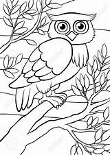 Owl Coloring Pages Birds Tree Cute Branch Drawing Bird Sitting Cartoon Sits Getdrawings sketch template