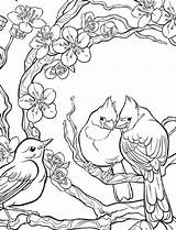 Coloring Pages Template Nature Faber Castell Templates Adults Birds Bird Creative Inspired Adult Blossoms Studio Books Mixing Color sketch template
