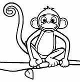Scimmia Scimmie Stampabile sketch template