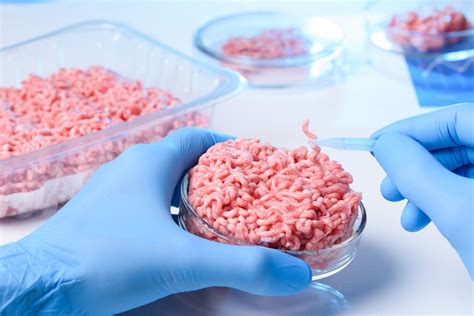clean meat revolution  coming opinion