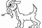 Goat Billy Coloring Pages Troll Angry sketch template