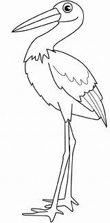 Stork Cegonha Cicogna Pintarcolorir Disegno Schede sketch template