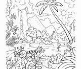 Rainforest Coloring Layers Pages Unique Getcolorings Printable Color Getdrawings sketch template