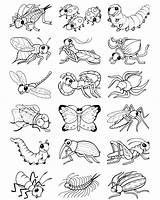 Pages Coloring Kids Insect Bug Colouring Color Stickers Book Worksheets Insects Bugs Sheets Drawing Preschool Printable Worksheet Kindergarten Doverpublications Own sketch template