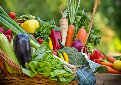 vegetables disease   healthy living
