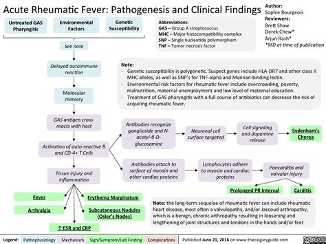 acute rheumatic fever pathogenesis  clinical findings calgary guide
