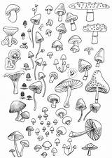 Mushroom Printable Mushrooms Drawing Stickers Journal Bullet Doodle Sticker Tiny Pages Cute Planner Drawings Indie Printables Sold Etsy Autumn Visit sketch template