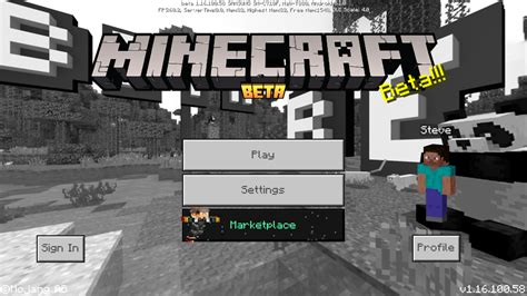 Download Minecraft Pe 1 16 100 58